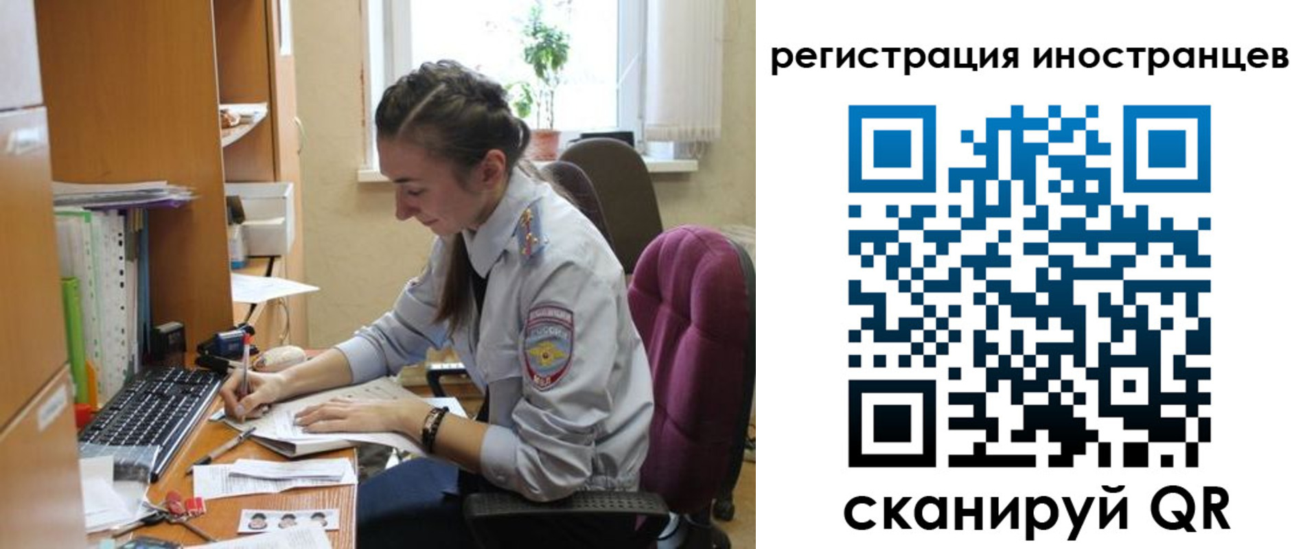 временная регистрация поиск в Щёлково
